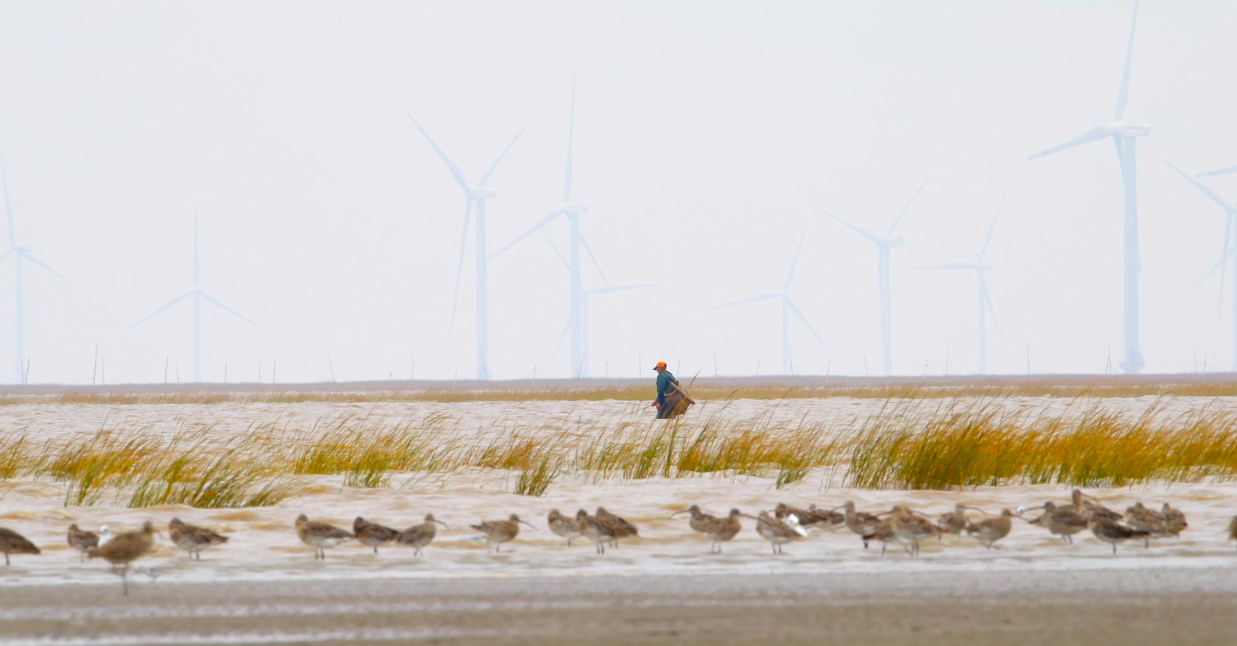 thumbnail image for Turning the Tide in China’s Coastal Wetlands