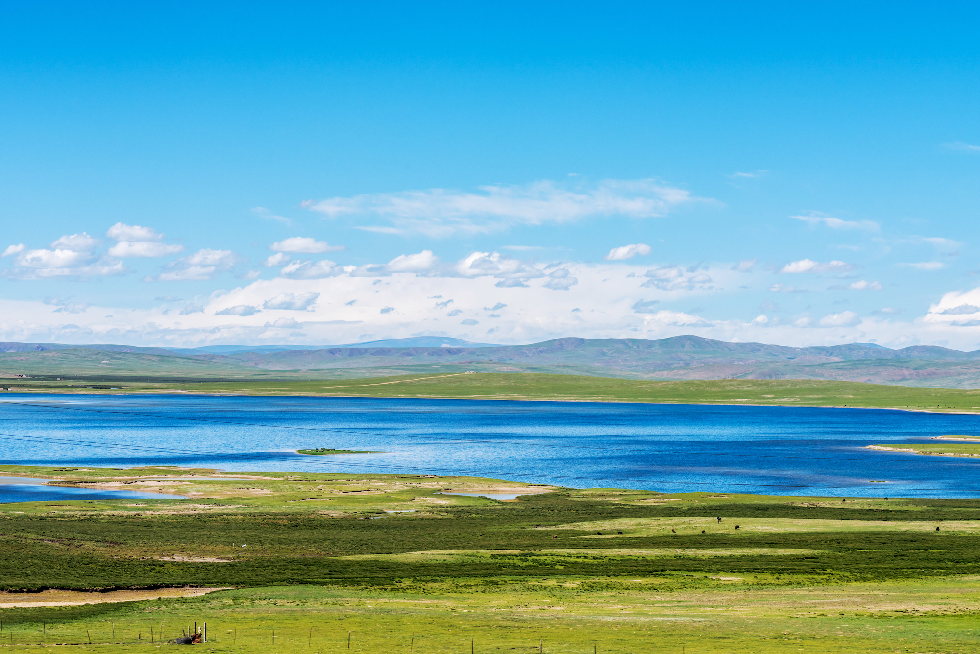 thumbnail image for China’s First National Park