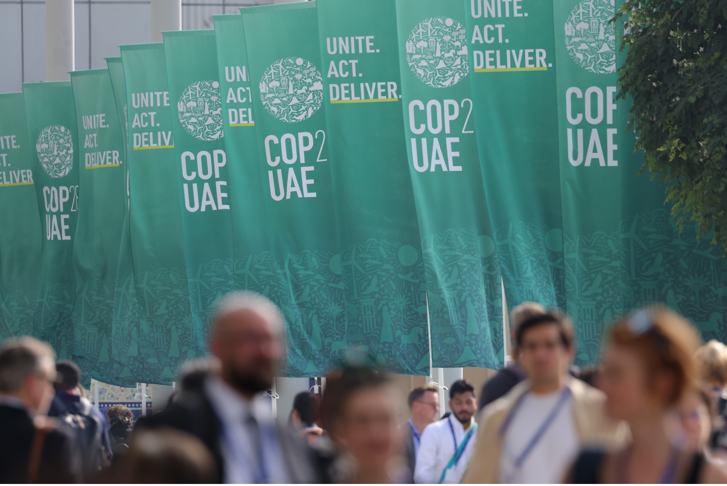 thumbnail image for Adapting Beyond COP 28