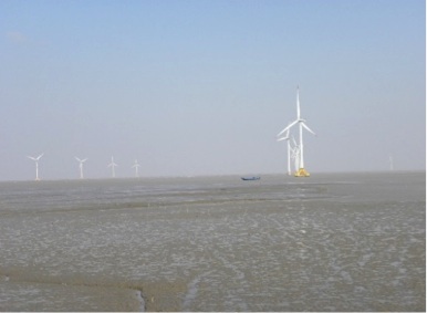 Development in the Rudong wetlands in Jiangsu Province