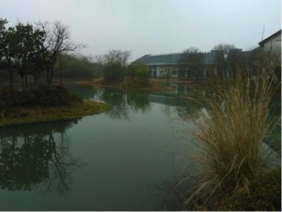 Xixi National Wetland Park in Hangzhou