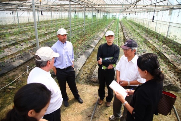 Jurors in greenhouse