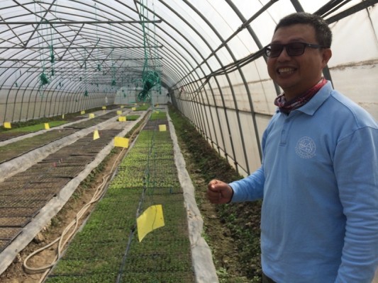 Taiwanese farm manager