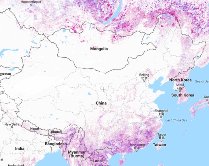 Figure 3. Most of China’s change in forest cover (shaded in purple) over the last decade (2001-2013) has occurred in the areas most populated in China. Source: Global Forest Watch.