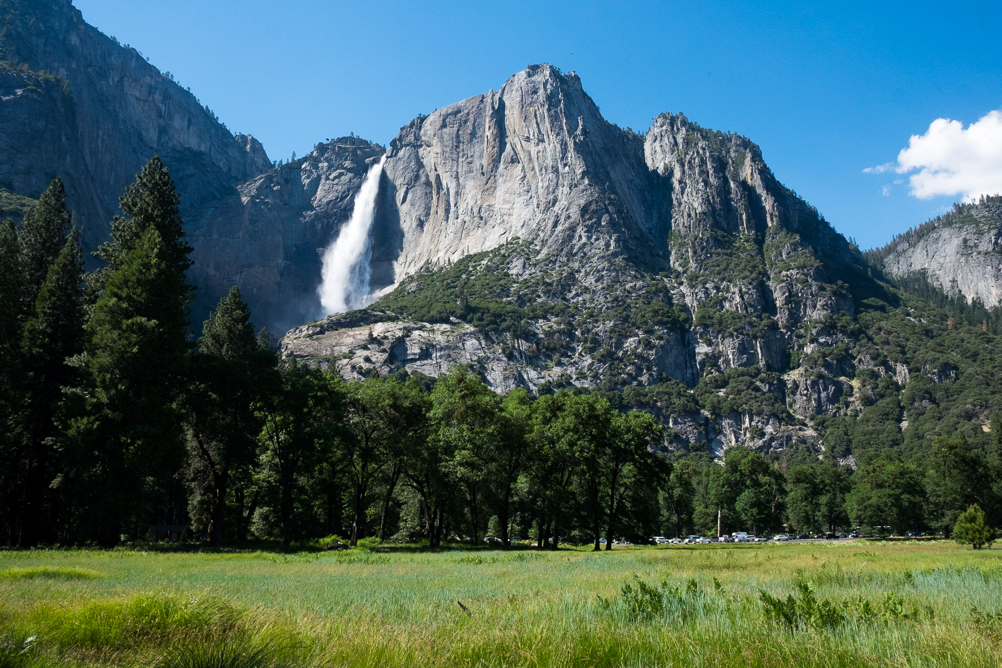 thumbnail image for National Parks Need Their Heroes