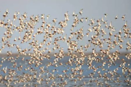 Hebei Luannan Wetland