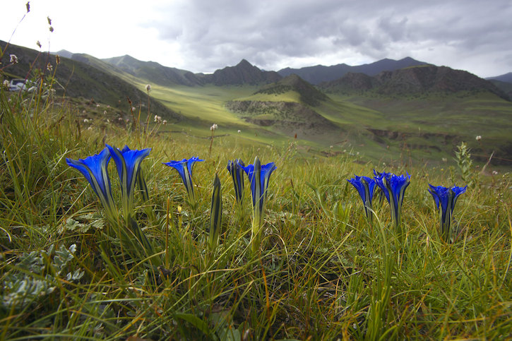 thumbnail image for Joining Forces to Promote the Value of Nature in China