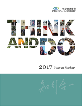 2017 annual report cover