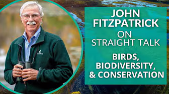 Bird Conservation, Biodiversity, and Studying Nature with John Fitzpatrick