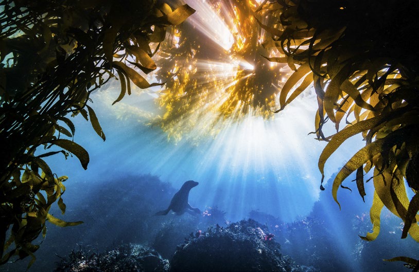 thumbnail image for Protecting Nature is Good Policy