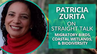 Birds, Wetlands, Conservation, & Biodiversity with Patricia Zurita