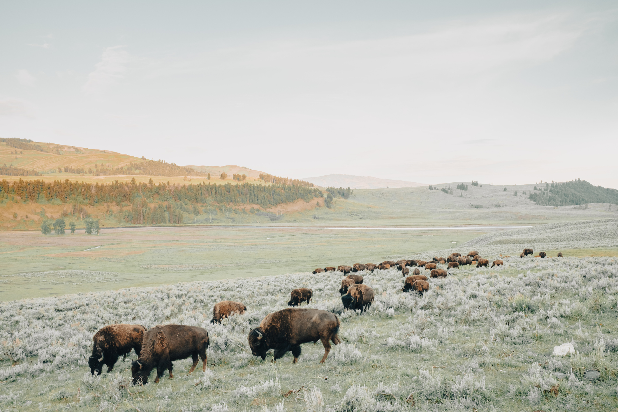 thumbnail image for Funding National Parks