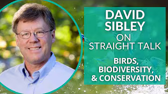 David Sibley on Birds, Birding, & the Biodiversity Crisis