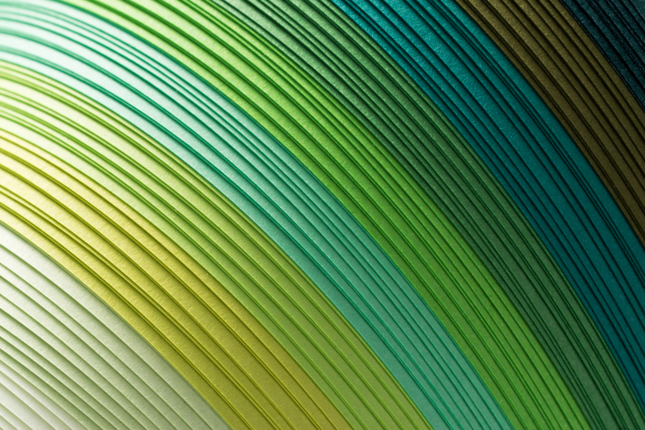 thumbnail image for The Green Team Speaks to Violante di Canossa